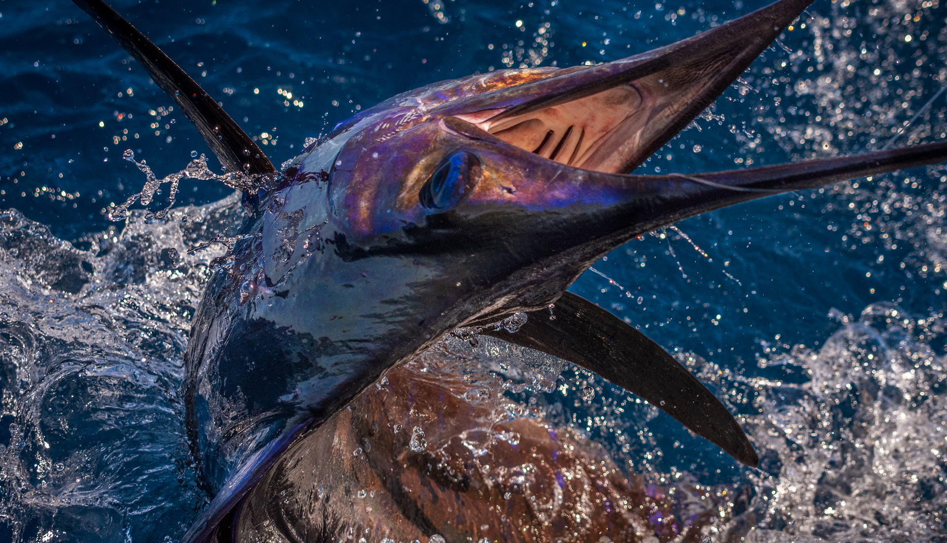 Fishing in Guatemala's Pacific coast