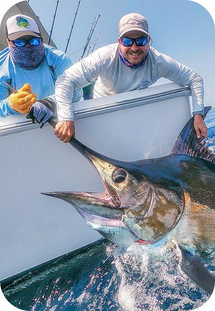 BBQ and grilling at the resort
