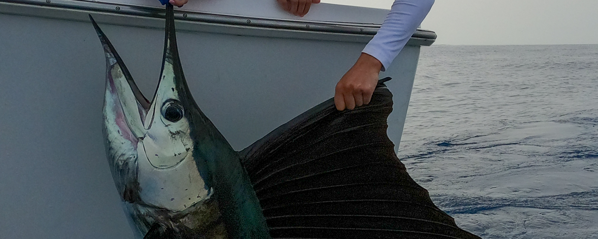 Tournaments at Pacific Fins