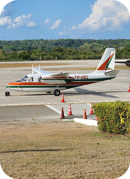 Fishing catch on display