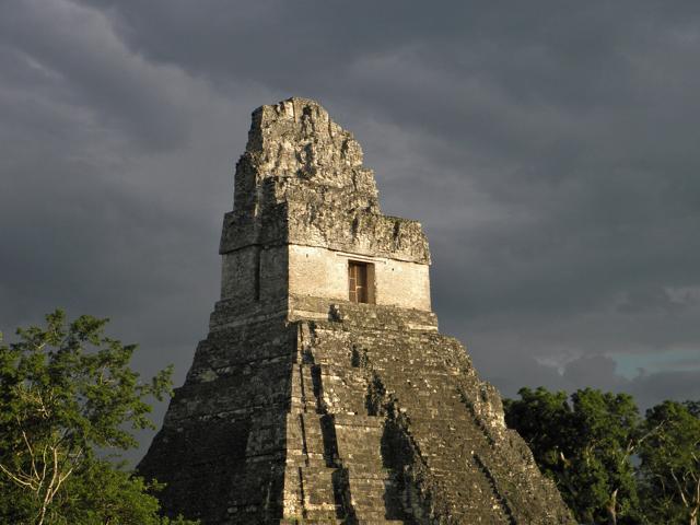 Tikal temple in the jungle