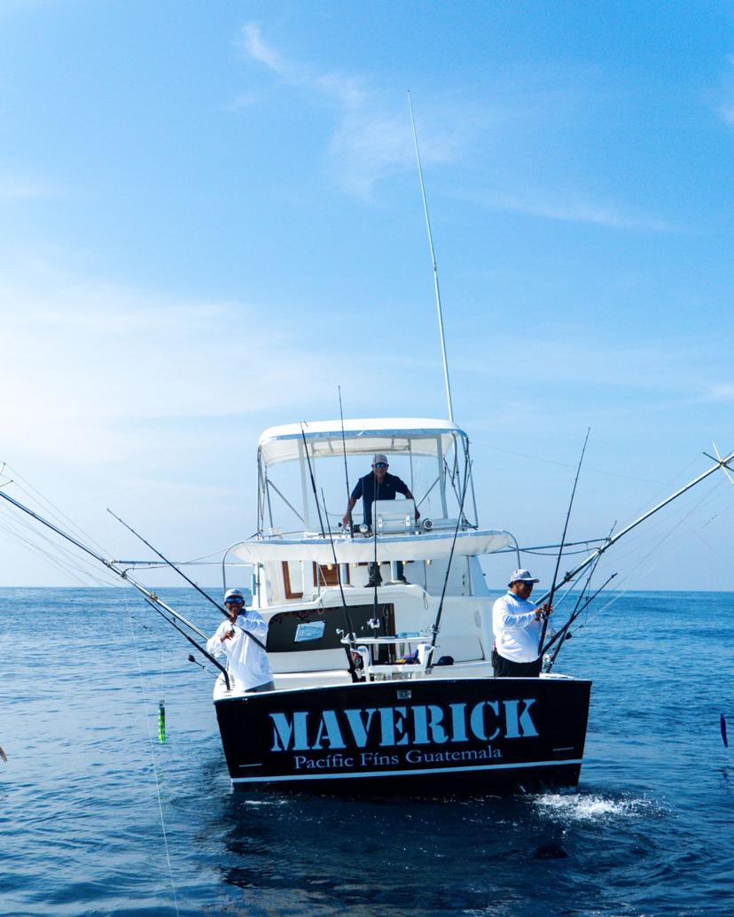 Maverick